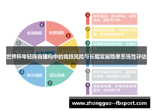世界杯年轻阵容建构中的竞技风险与长期发展隐患系统性评估